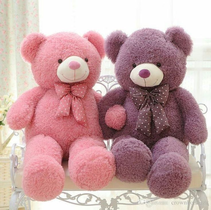 double teddy