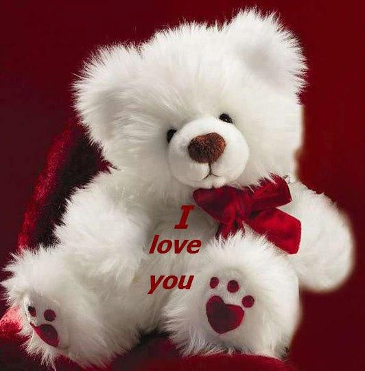 Teddy bear with i love you